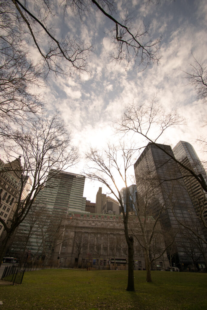 The lawn of the Battery under bare winter trees, looking toward the old Custom House and Financial District towers