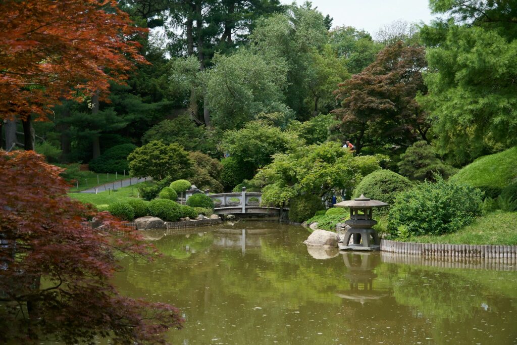 The pond in the Japanese Hill-and-Pond Garden with a stone lantern, a small bridge and Japanese maples