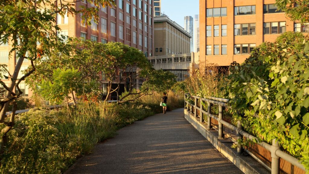 The High Line park walkway surrounded by lush greenery and brick buildings in Manhattan, New York City