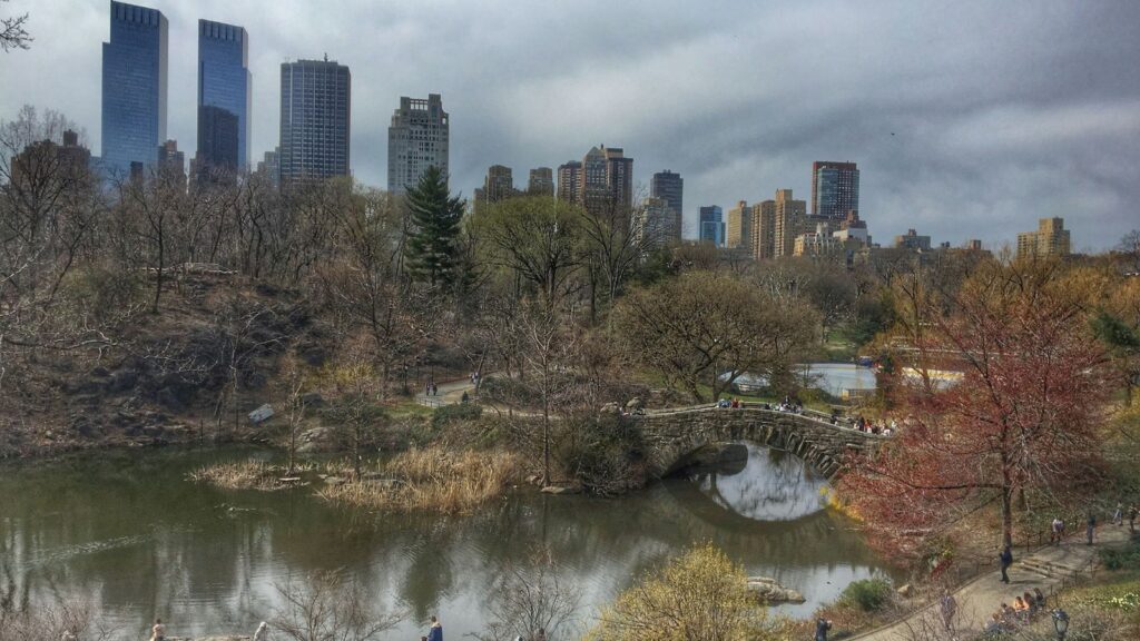 Winding pathway through Central Park New York City surrounded by lush trees