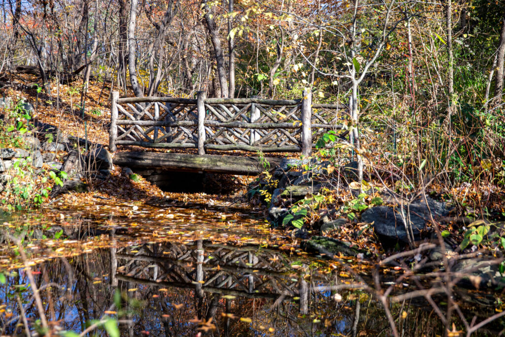 Rustic wooden bridge in the Ramble, Central Park
