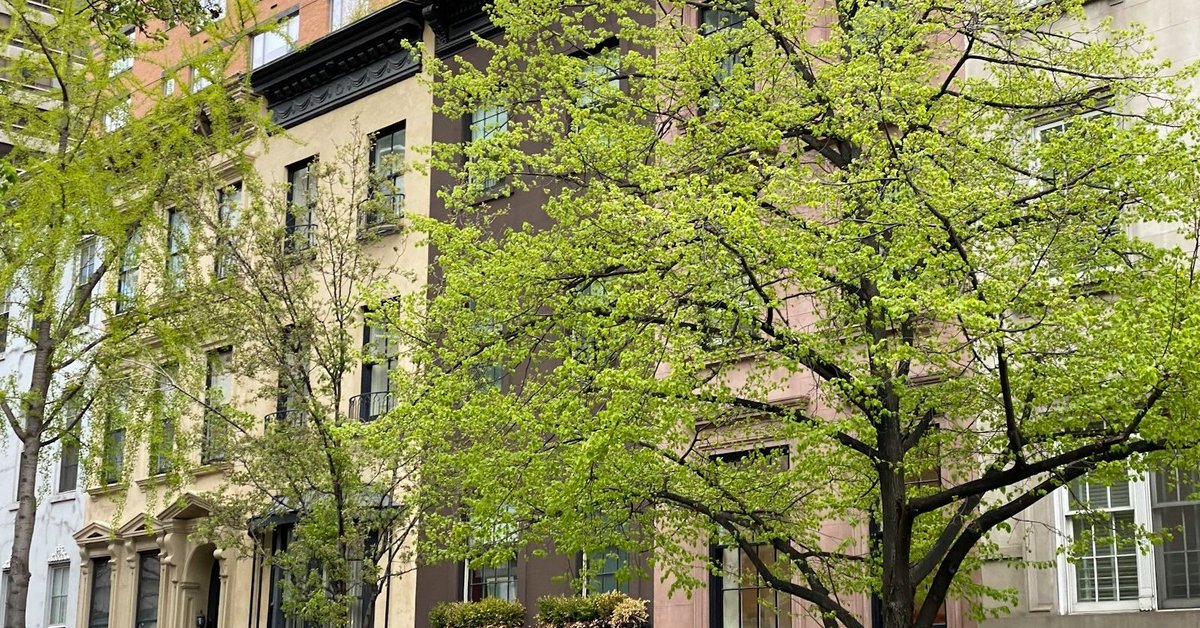 Ditmars Boulevard in Astoria, Queens — the heart of New York City's Greek immigrant community