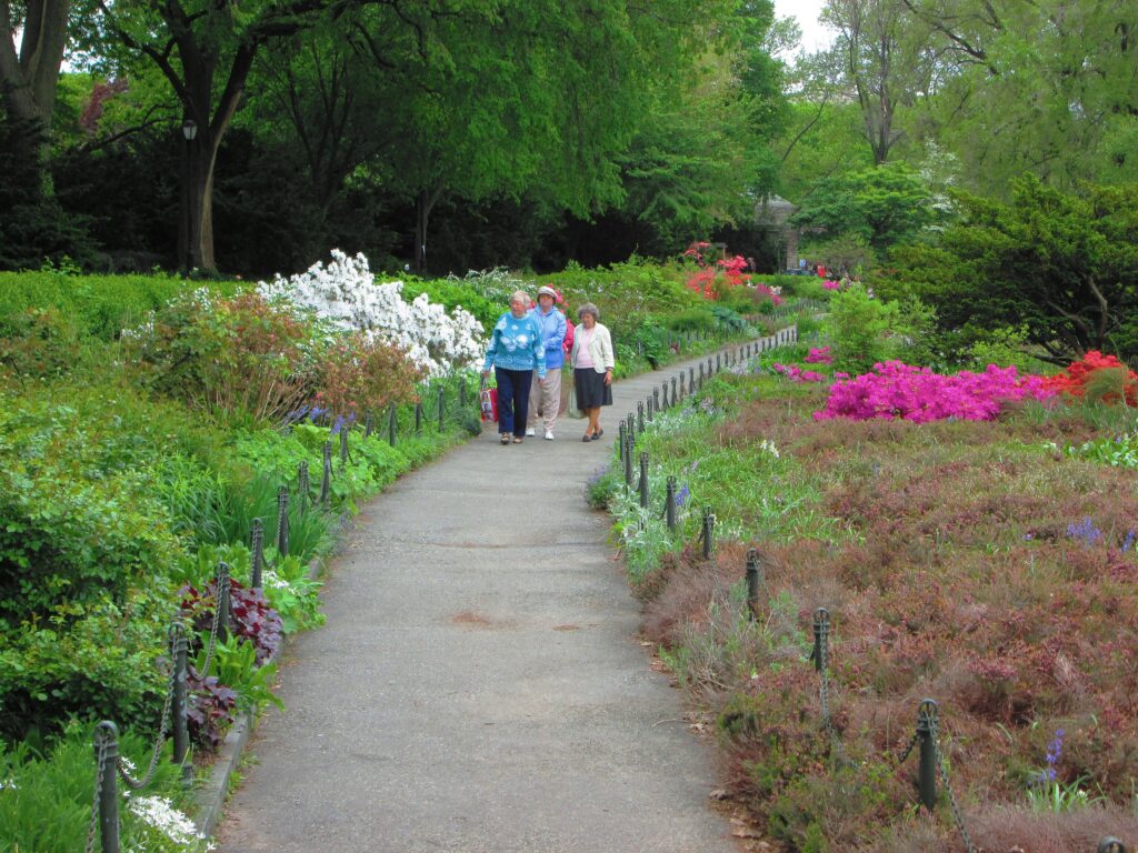 Visitors on a path through the Heather Garden in Fort Tryon Park, with azaleas in bloom