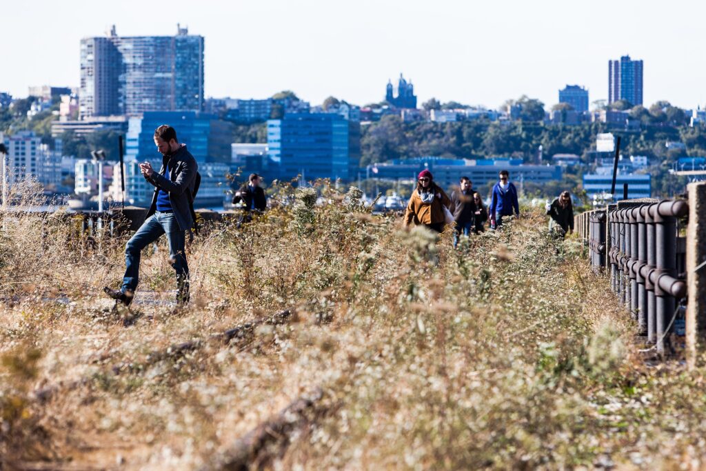 Visitors on a 2012 tour walking through dry wild grasses on the unrestored rail yards stretch of the High Line, beside the old iron railings, with the Hudson River skyline behind