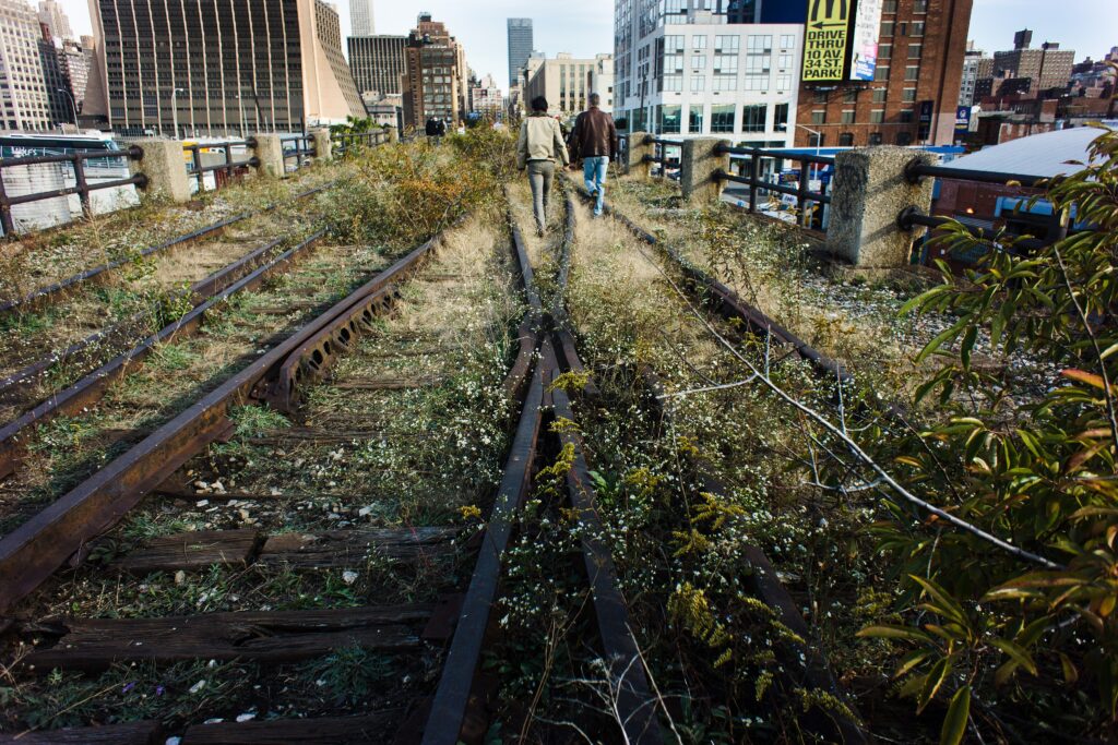 Two people walking along rusted High Line rails and old wooden ties overgrown with grasses, goldenrod and small white asters, with Midtown towers ahead