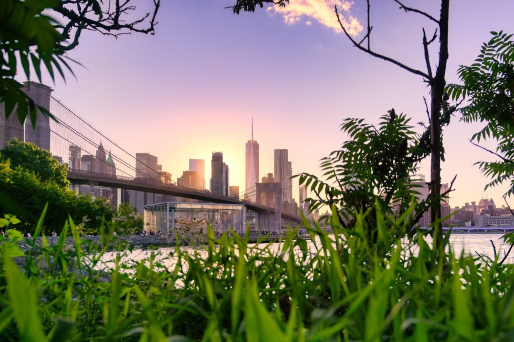 The New York City skyline seen from Brooklyn