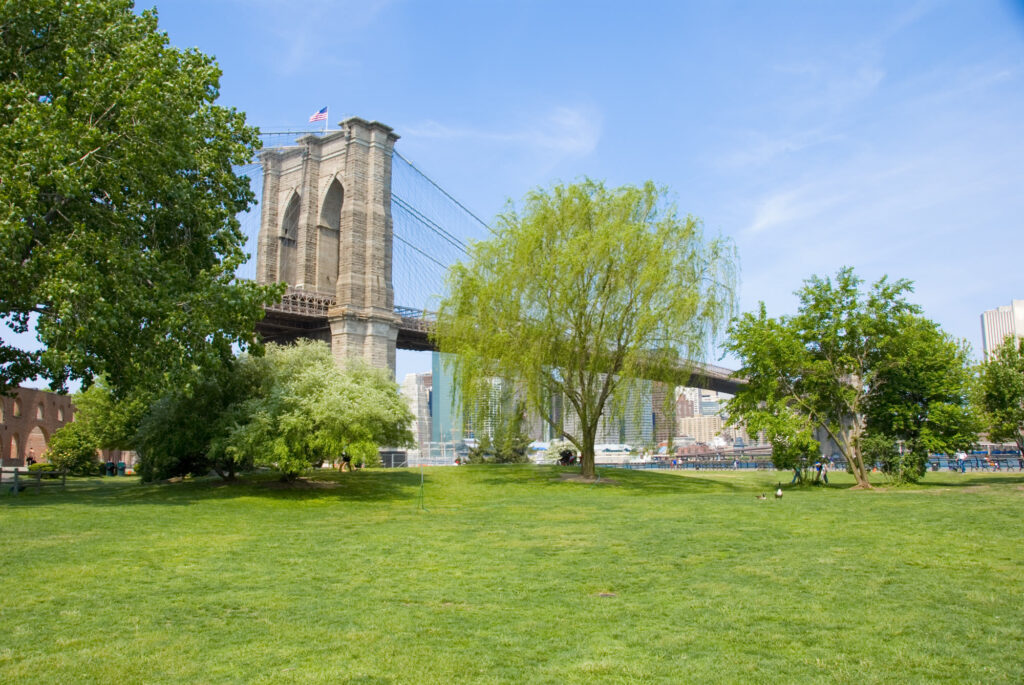 A wide green lawn in Brooklyn Bridge Park with the stone Brooklyn tower of the Brooklyn Bridge rising behind the trees