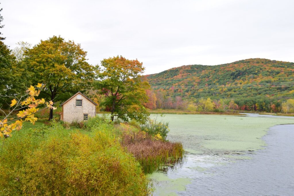 A shingled cottage beside a pond under hills of fall color in Becket, in the Berkshires