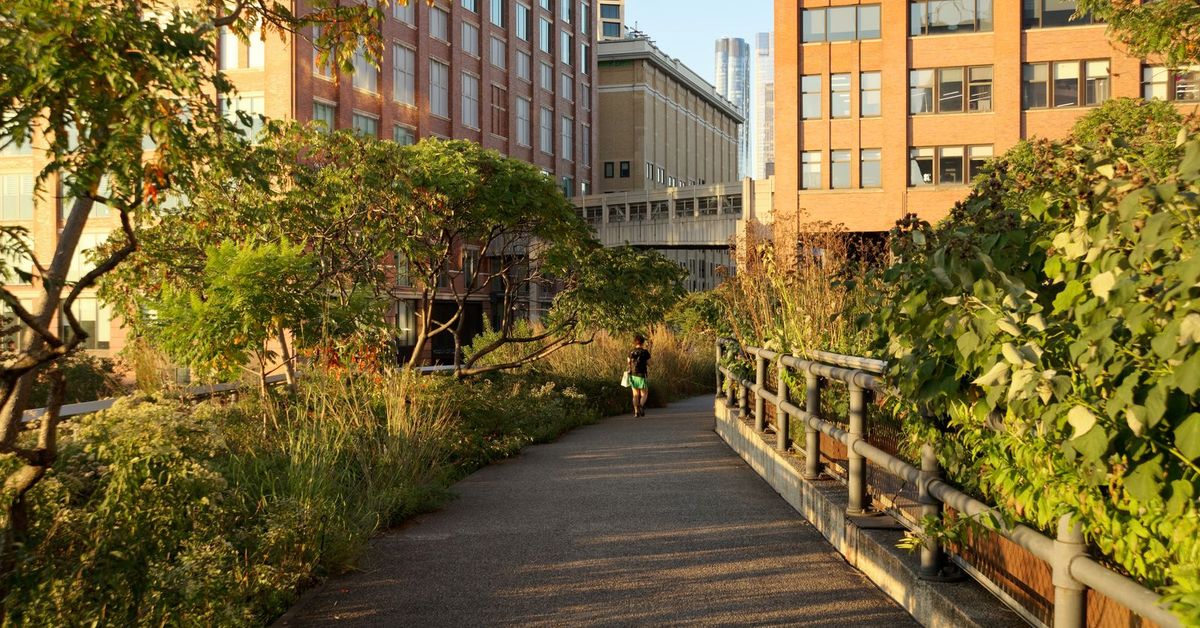 The High Line elevated park walkway lined with greenery, Chelsea New York City