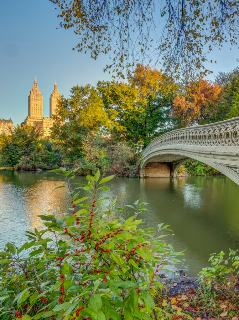 Bow Bridge over the Lake in Central Park in fall, with the twin towers of the San Remo behind