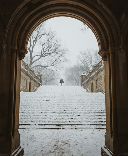 Central Park blanketed in snow in New York City in winter, with bare trees lining the paths