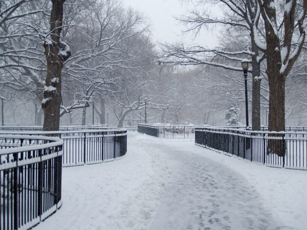 A path through Tompkins Square Park under fresh snow, lined with iron railings, lamps and bare trees