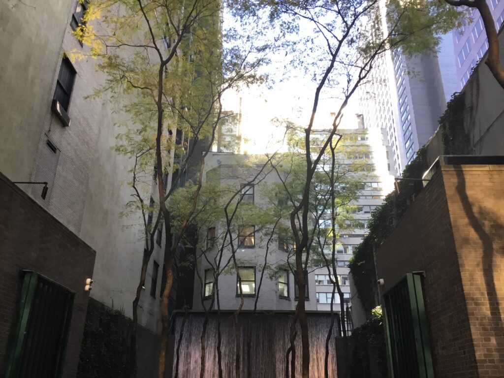 The waterfall wall at the back of Paley Park, framed by slender trees and the brick walls of the neighboring buildings