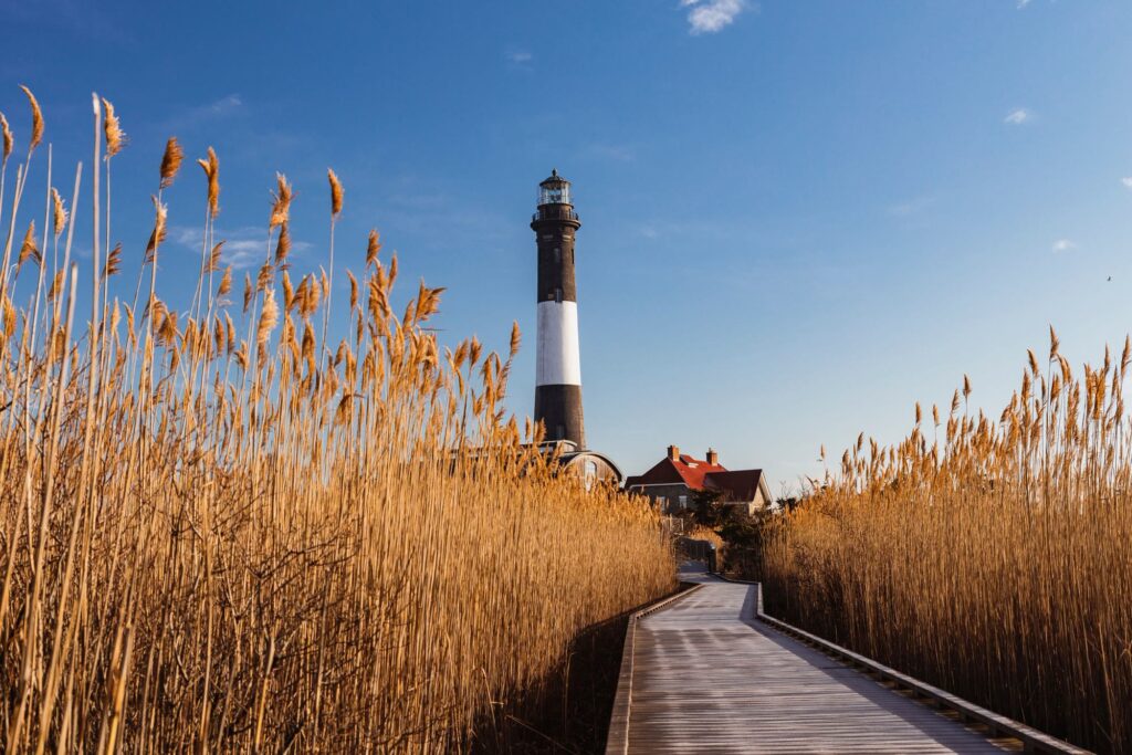 Boardwalk through tall golden reeds leading to the black-and-white Fire Island Lighthouse