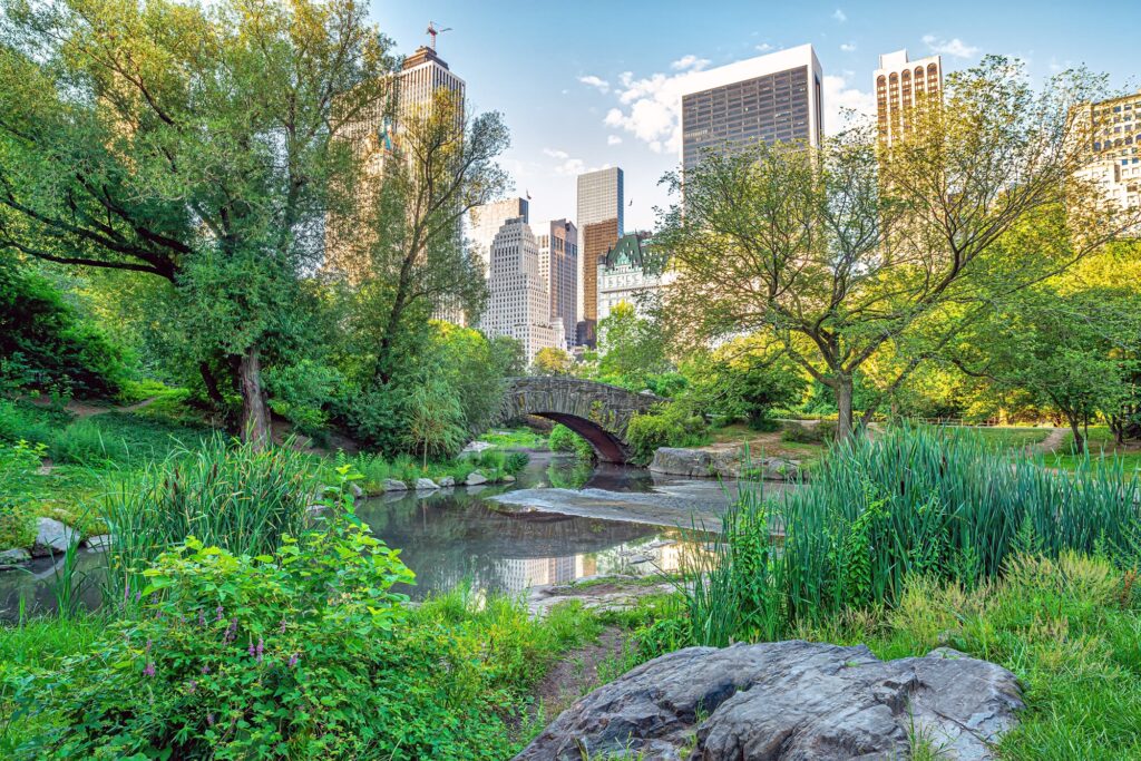 Gapstow Bridge, a stone arch over the Pond in Central Park, with Midtown towers and the Plaza Hotel behind