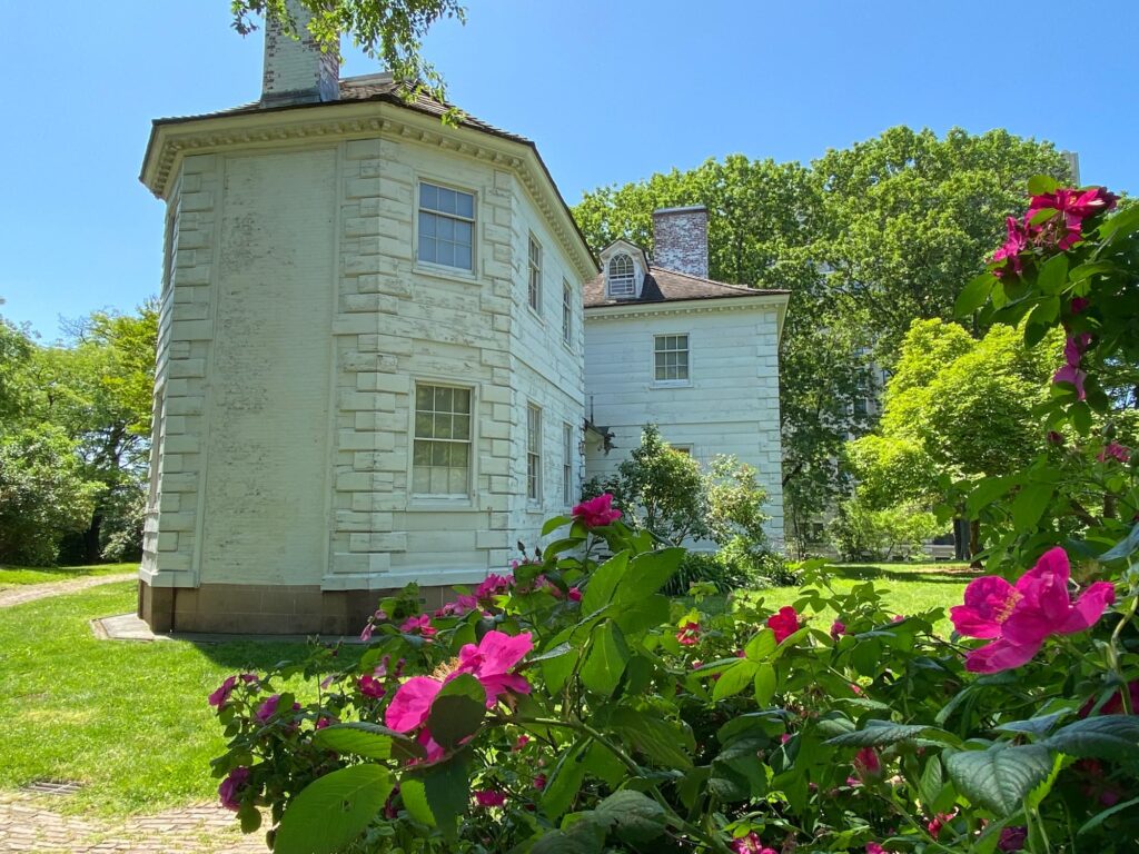 The rear of the white Morris-Jumel Mansion with its octagonal wing, seen past pink roses in the garden on a sunny day