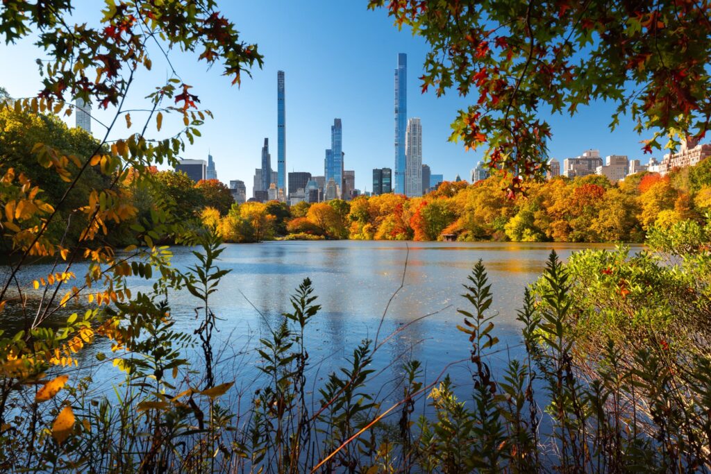 Autumn trees around the Lake in Central Park with Manhattan towers behind