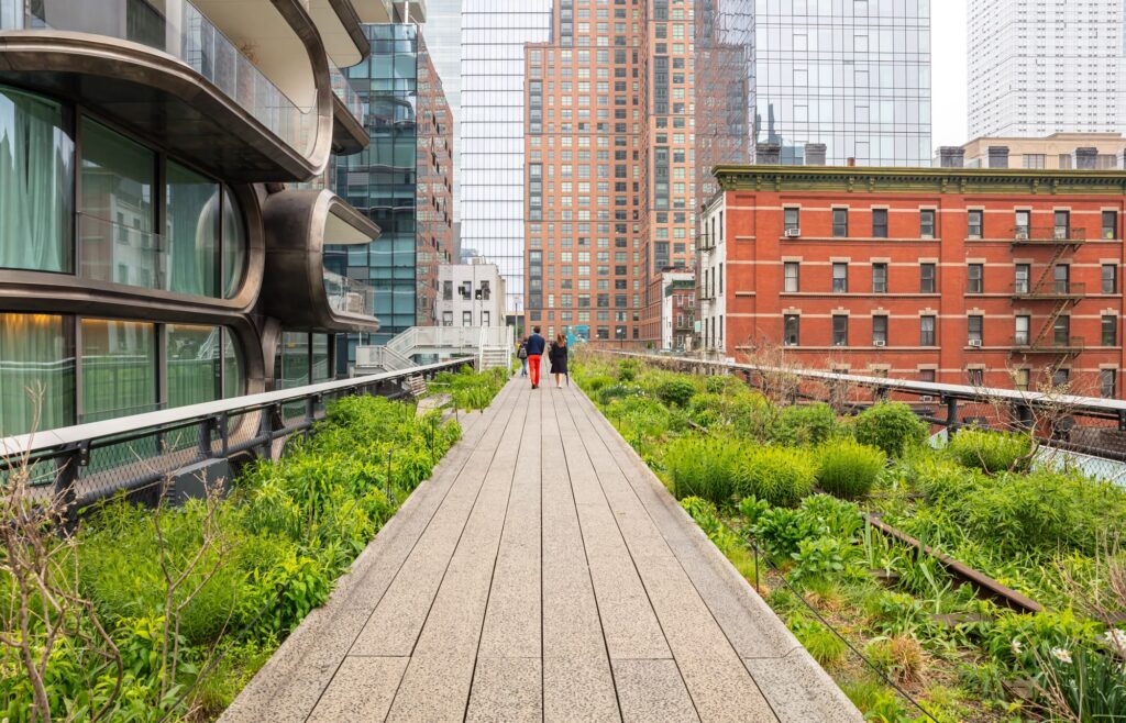 The High Line walkway running between wild plantings, old rail tracks and Chelsea apartment towers