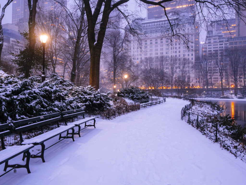 Central Park in New York City covered in snow during a winter storm
