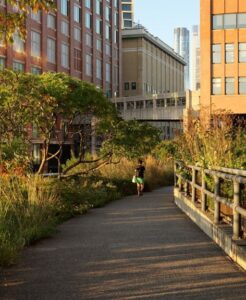 The High Line elevated park walkway surrounded by greenery and brick buildings in the Meatpacking District, New York City