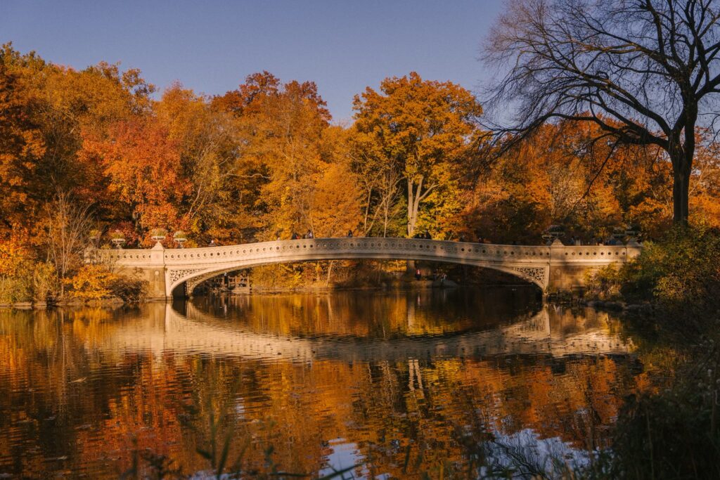 The cream cast-iron Bow Bridge over the Lake, framed by orange fall trees and reflected in the water