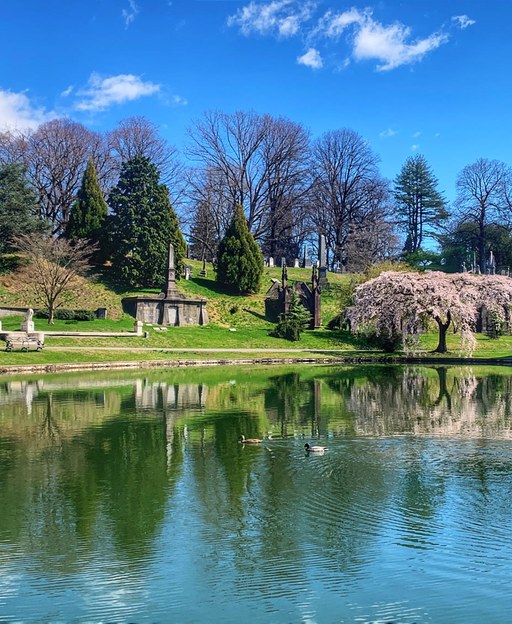 Still lake with stone mausoleums and a pink weeping cherry tree at Green-Wood Cemetery in Brooklyn, New York